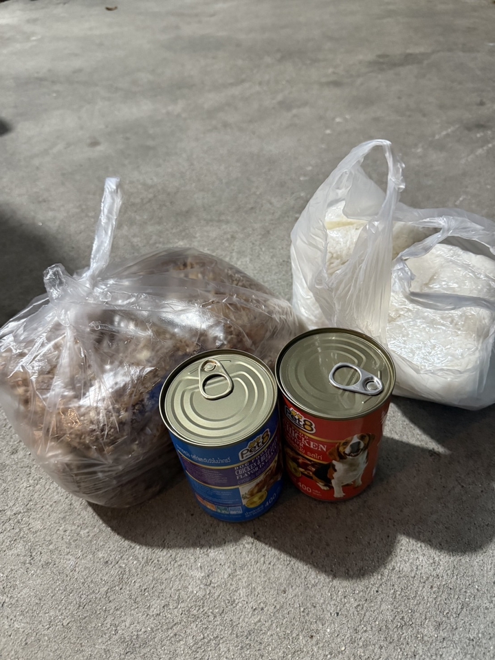 รับจ้างทำบุญออนไลน์ วัสดุทำบุญพร้อมส่ง