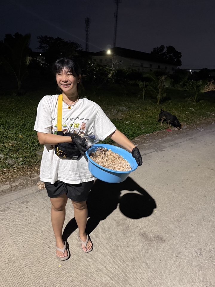 รับจ้างทำบุญใส่บาตร ช่วยเหลือสัตว์จรจัด