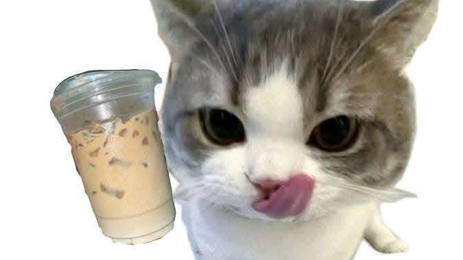 ร้องคาราโอเกะภาษาจีนเป็นเพื่อน jaychou GEM เพลงฮิตetcเพลงไทยยุค00/10 หรือเพลงอื่นๆที่ฮิตรุ่นอายุ23