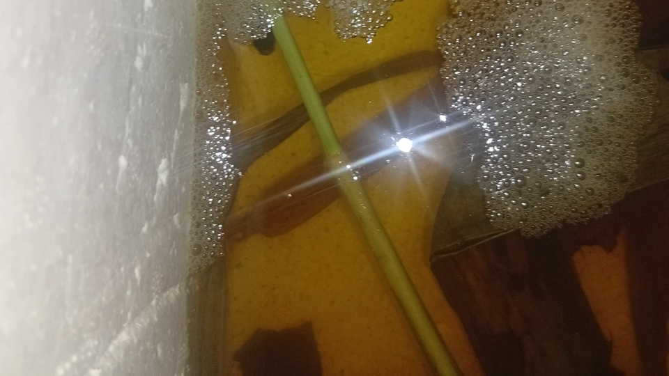 รับจ้างเพาะพันธ์ปลากัดทุกสายพันธ์ดูแลตั้งแต่หาพ่อแม่พันธ์ อนุบาล ฟอร์มปลา คัดเกรด จัดส่งปรึกษาฟรี