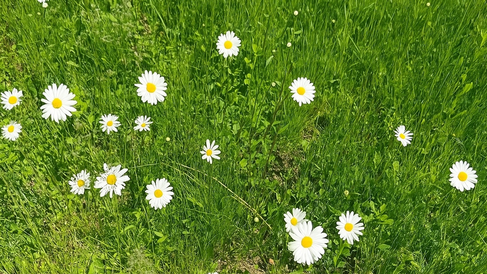 รับปรึกษาปัญหาชีวิตครอบครัวและความรัก  ไลฟ์โค้ช