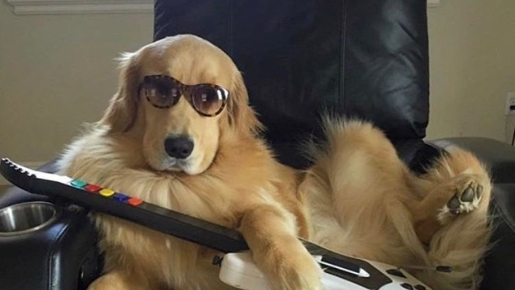 เพื่อนทุกรูปแบบ