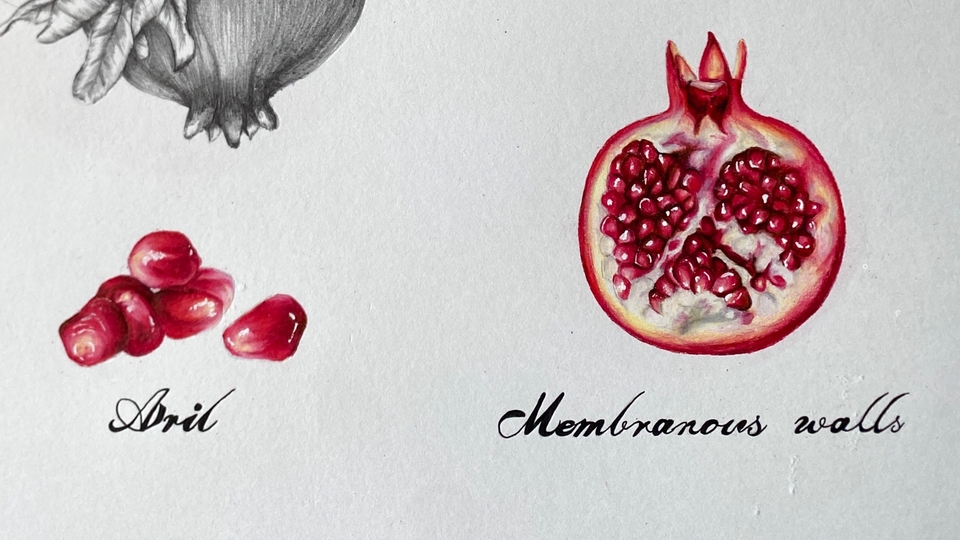 ภาพประกอบ