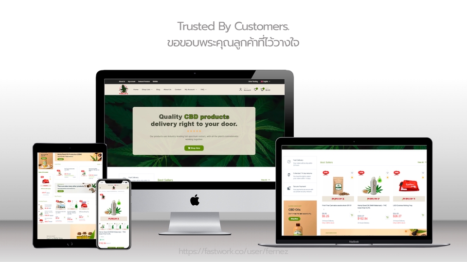 ออกแบบเว็บร้านค้า CBD WordPress WooCommerce ดีไซน์ทันสมัย เน้น conversion
