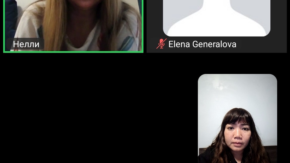 Online Meeting with business partner