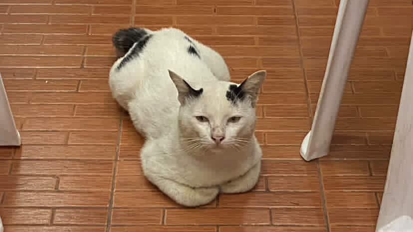 รับกดสินค้านะคะ