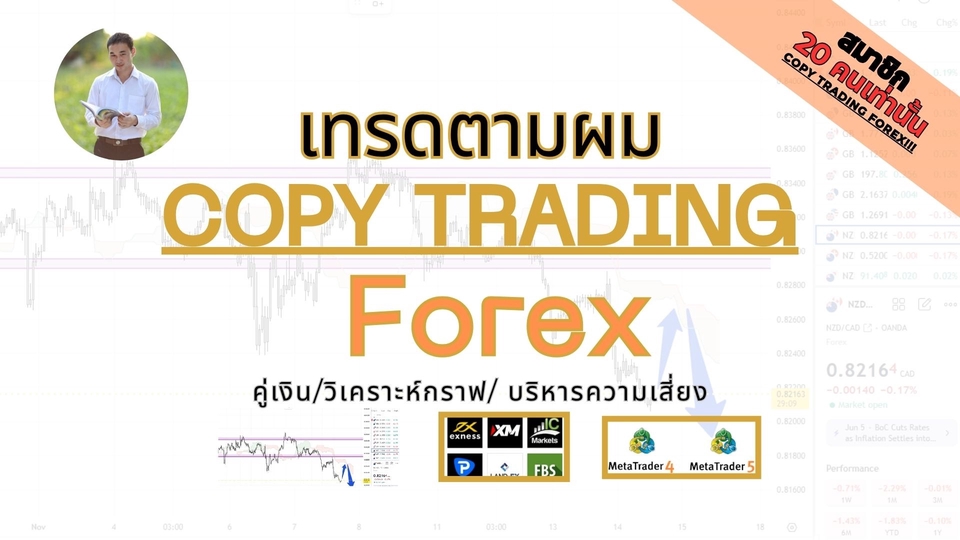 สอนเทรด forex มือใหม่ เทคนิคการลงทุน copy trading