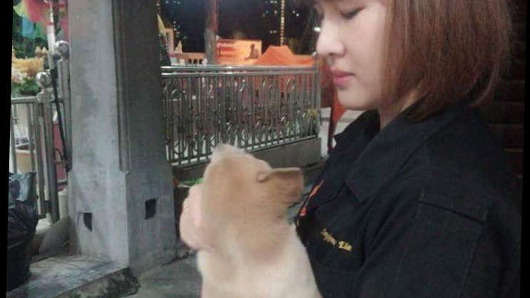 สามารถเข้าไปให้อาหารหรือเล่นกับน้องได้ ถ่ายรูปหรือส่งวีดีโอให้กับเจ้านายได้ค่ะ