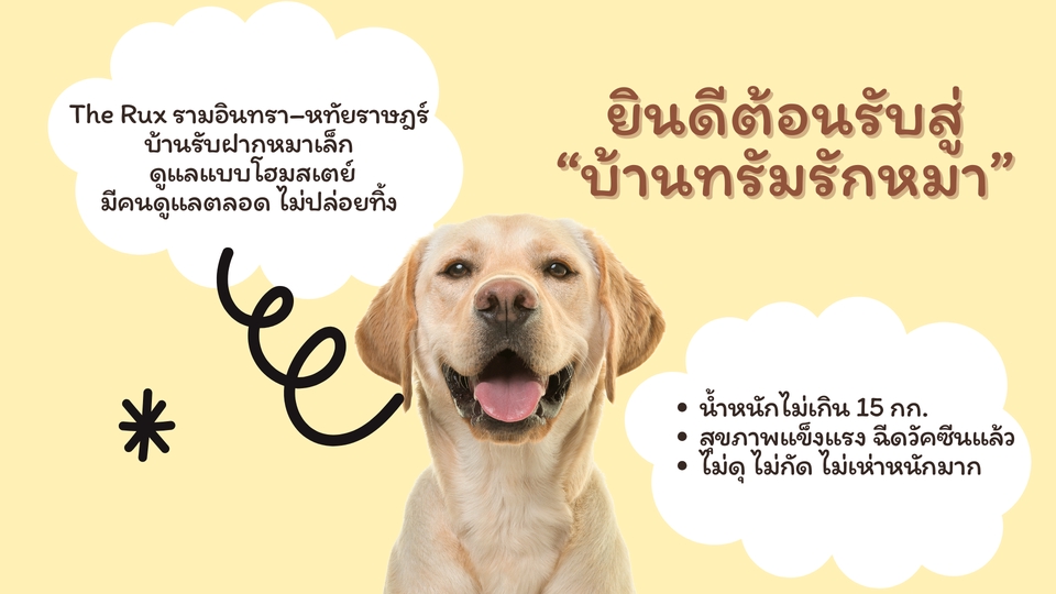 รับจ้างเลี้ยงสัตว์ - รับฝากเลี้ยงหมาเล็ก แถวรามอินทรา-หทัยฤาษฎร์ เริ่มต้น 250 - 2