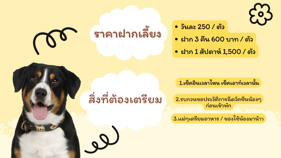 รับจ้างเลี้ยงสัตว์ - รับฝากเลี้ยงหมาเล็ก แถวรามอินทรา-หทัยฤาษฎร์ เริ่มต้น 250 - 3