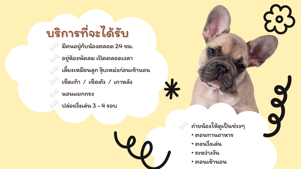 รับจ้างเลี้ยงสัตว์ - รับฝากเลี้ยงหมาเล็ก แถวรามอินทรา-หทัยฤาษฎร์ เริ่มต้น 250 - 4