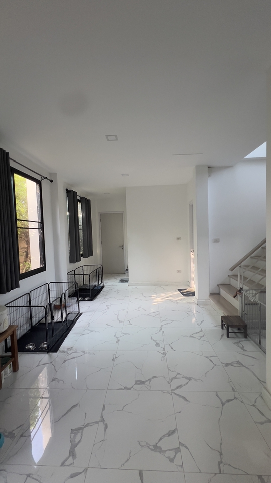 รับจ้างเลี้ยงสัตว์ - รับฝากเลี้ยงหมาเล็ก แถวรามอินทรา-หทัยฤาษฎร์ เริ่มต้น 250 - 5