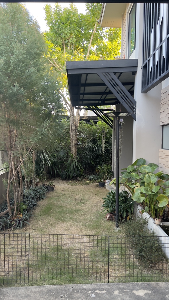 รับจ้างเลี้ยงสัตว์ - รับฝากเลี้ยงหมาเล็ก แถวรามอินทรา-หทัยฤาษฎร์ เริ่มต้น 250 - 6