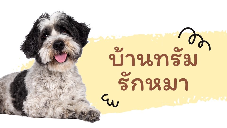 รับฝากสุนัขพันธุ์เล็ก ข้อมูลตามในภาพ ที่บ้านมี 2 ตัว ใจดีมาก มาฝากอยู่เป็นเพื่อนกันไม่เหงาแน่นอนค่ะ