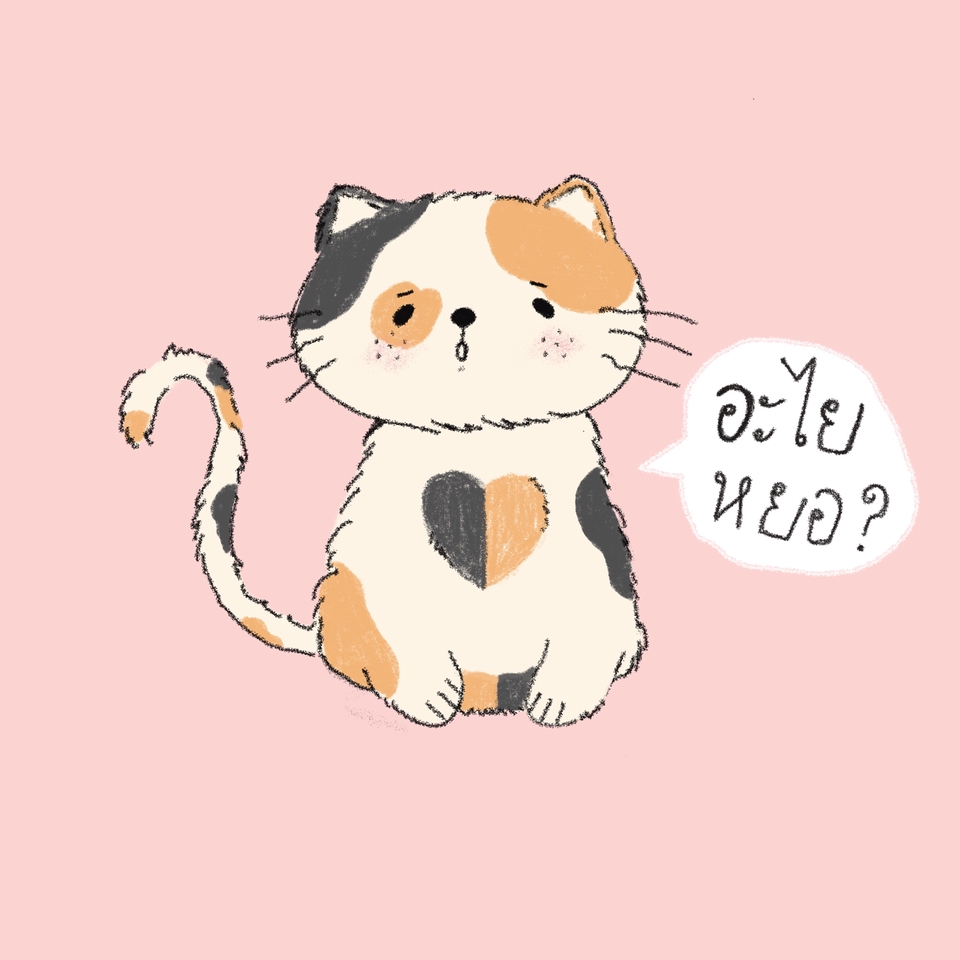 รับวาดการ์ตูนน่ารัก สไตล์มินิมอล  ภาพวาดแมวสามสี