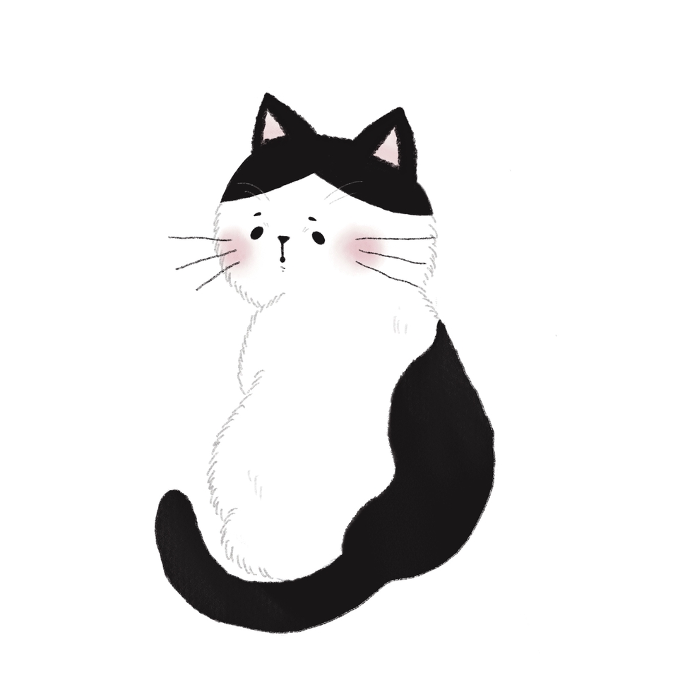 รับวาดรูปการ์ตูนน่ารัก สไตล์มินิมอล แมวดำขาว