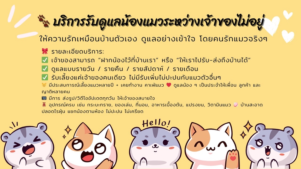รับจ้างเลี้ยงแมว ดูแลแมวตามบ้าน พี่เลี้ยงแมว บริการดูแลแมว