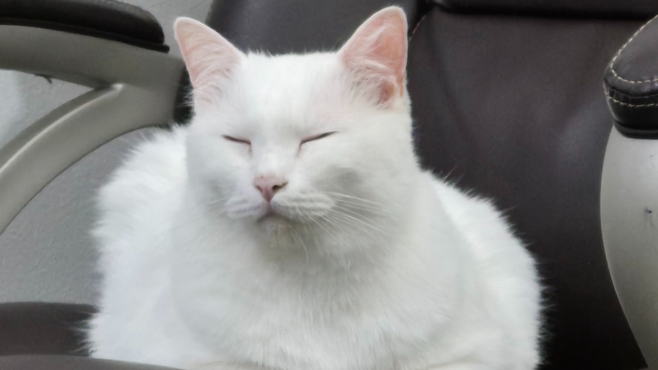 ปรึกษาปัญหาชีวิต ความรัก คุยเป็นเพื่อน และอื่นๆ ไม่ตัดสินคุณ รับฟังด้วยความจริงใจงับ :)