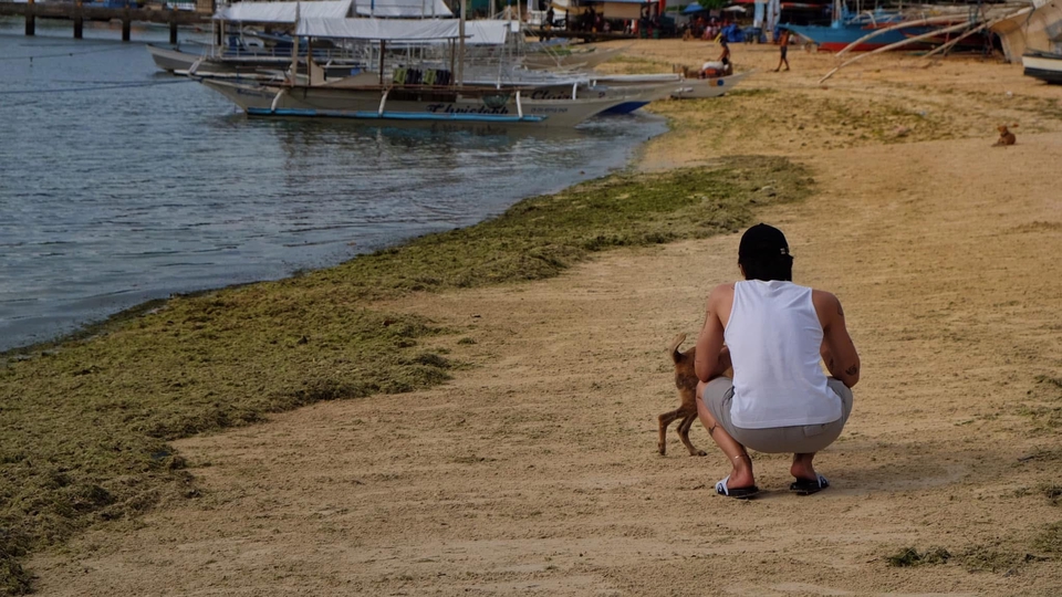 รับถ่ายภาพ ช่างภาพ freelance ชายถ่ายรูปริมทะเลพร้อมสุนัข