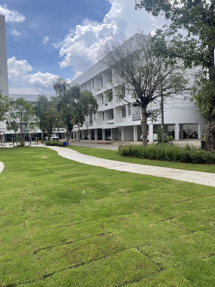 รับจัดสวนสวยสไตล์โมเดิร์น ออกแบบภูมิทัศน์ จัดสวนหน้าบ้าน