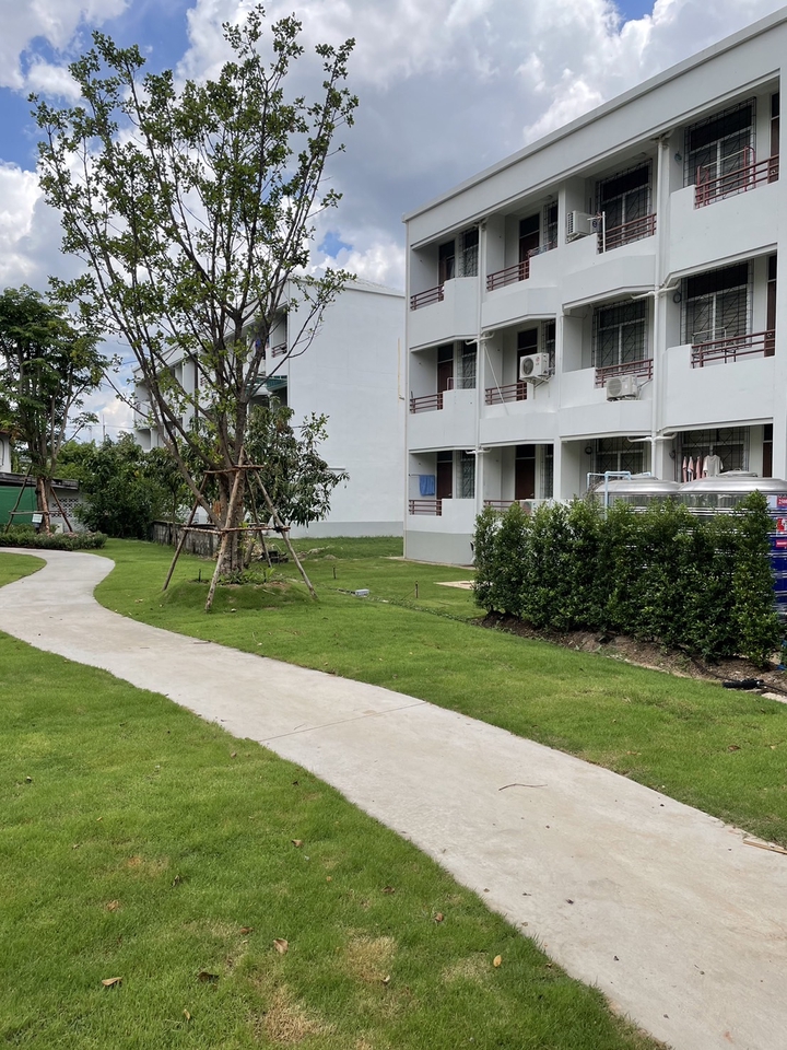 รับจัดสวนสวยสไตล์โมเดิร์น ออกแบบภูมิทัศน์งบประหยัด