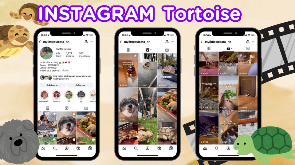 รูปภาพเน็ตไอดอลรีวิว พร้อมหน้าจอโทรศัพท์แสดงบัญชี Instagram บล็อกเกอร์รีวิวสินค้า ถ่ายภาพสัตว์เลี้ยง เต่า น่ารัก รับรีวิวสินค้า tiktok รับจ้างรีวิวสินค้า บล็อกเกอร์รีวิวอาหาร เน็ตไอดอล หา influencer รีวิวสินค้า