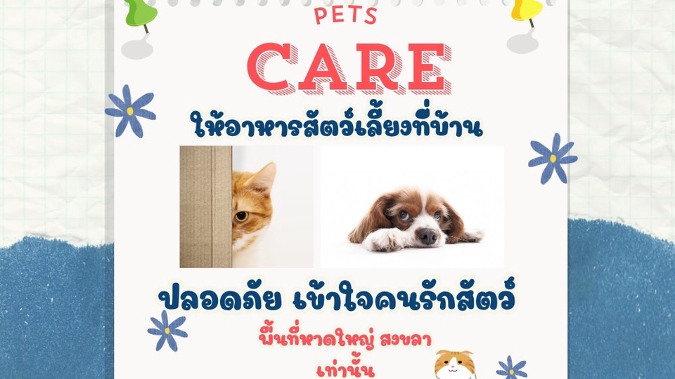 รับให้อาหารสัตว์เลี้ยงที่บ้านในวันที่เจ้าของไม่อยู่ หรือต้องการให้ดูแลฉุกเฉิน