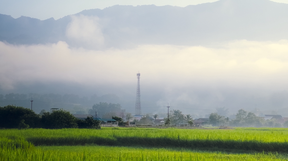 ตัวอย่างการแต่งโทนสีของภาพ