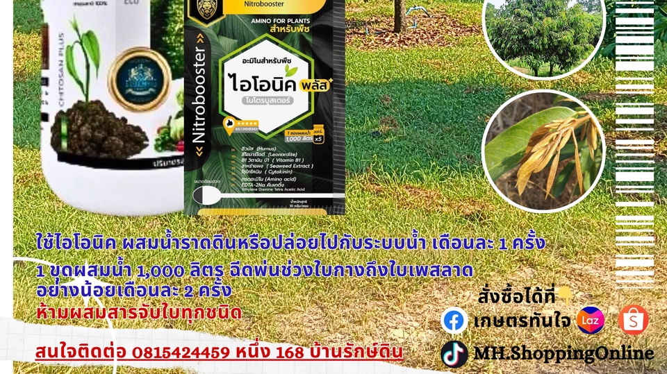 โบรชัวร์สินค้า