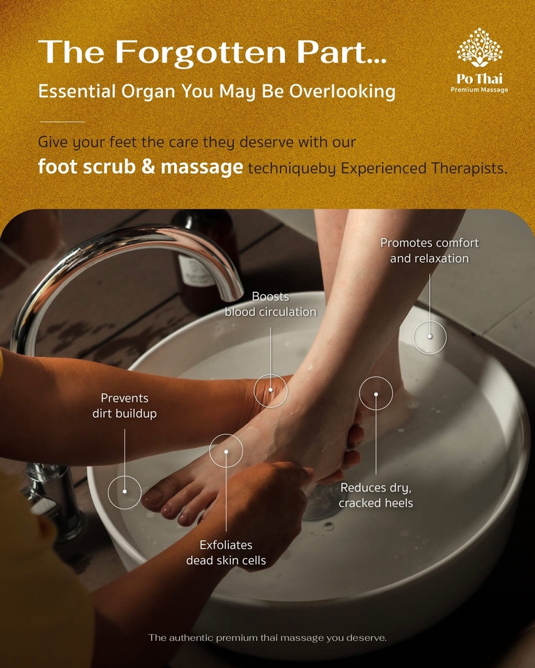 นวด - Po Thai Massage - นวดแผนไทย+ นวดเท้า (ทองหล่อ) - 2