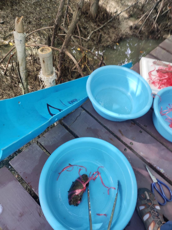 รับจ้างทำบุญพิธีกรรมทางศาสนา ทำบุญออนไลน์ สะเดาะเคราะห์