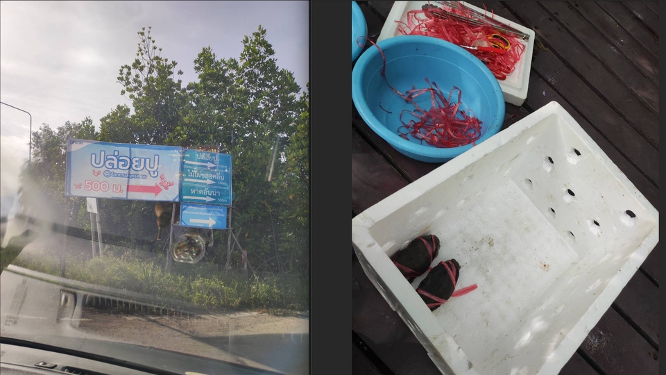 ความเชื่อเรื่องปล่อยปู ปลดปล่อยความติดขัด เสริมเรื่องการงาน เสริมเรื่องความรักและโชคลาภ สร้างบุญกุศล