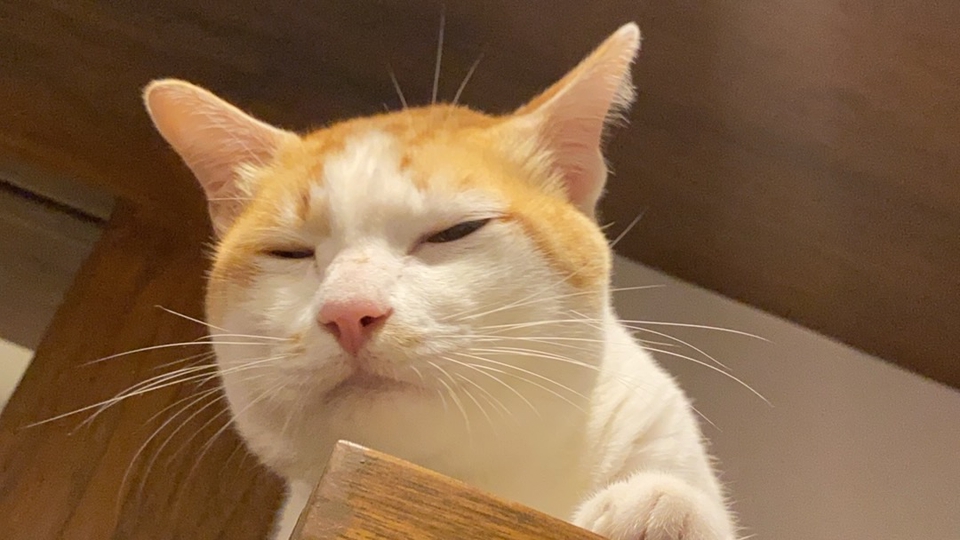 รับทำแบบสอบถามทุกรูปแบบ ไม่ตอบมั่ว เน้นตอบตามความรู้สึกและความรู้ที่มี