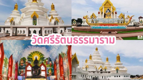 รับจ้างให้อาหารปลาให้อาหารเต่าที่วัดศรีรัตนธรรมารามสมุทรปราการ