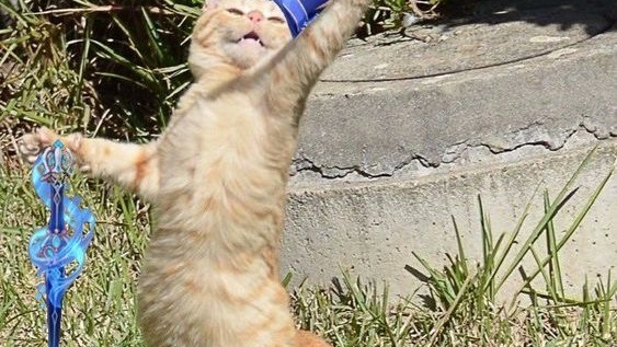 รับพิมพ์งานด่วน รับคีย์ข้อมูล ทำรายงาน excel จัดรูปเล่ม