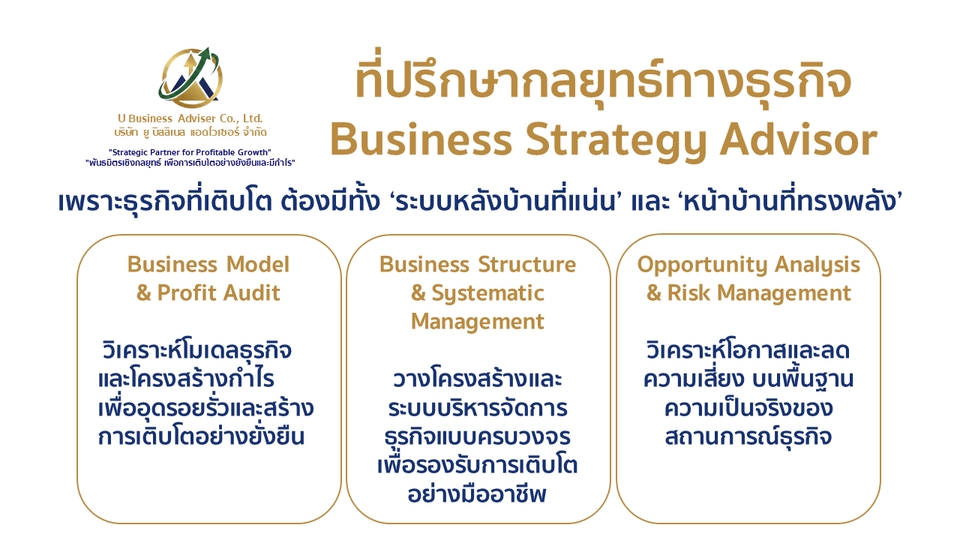 ที่ปรึกษากลยุทธ์ทางธุรกิจ: วิเคราะห์ยอดขาย-กำไร วางระบบองค์กร ทำแผนธุรกิจ/ลงทุน เพื่อโตยั่งยืน