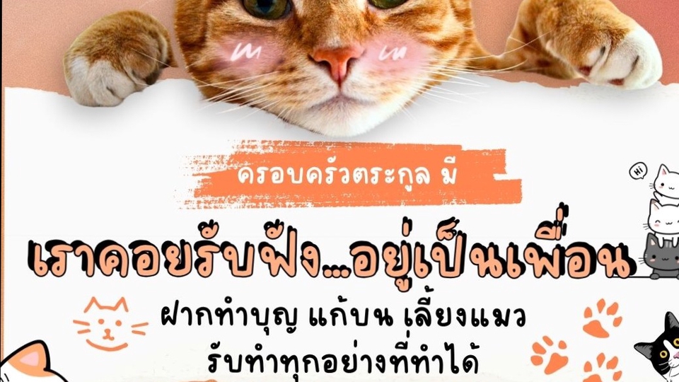 เราคอยรับฟัง คำแนะนำ สายมู ฝากทำบุญ ตักบาตร แก้บน เลี้ยงแมว 