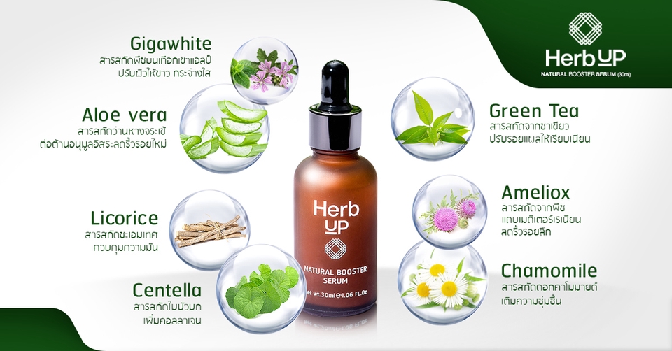 ออกแบบแบนเนอร์สินค้า Herb UP บนเว็บไซต์ สวยงามดึงดูดลูกค้า