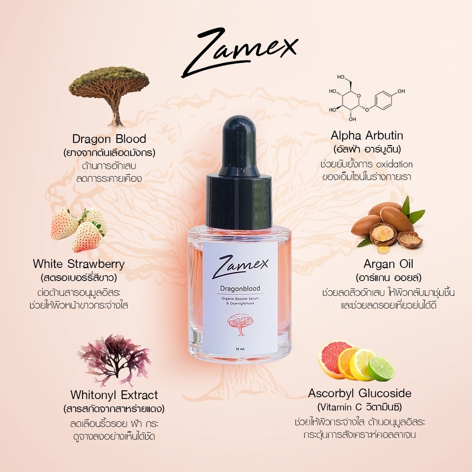 ออกแบบแบนเนอร์สินค้า Zamex บนเว็บไซต์