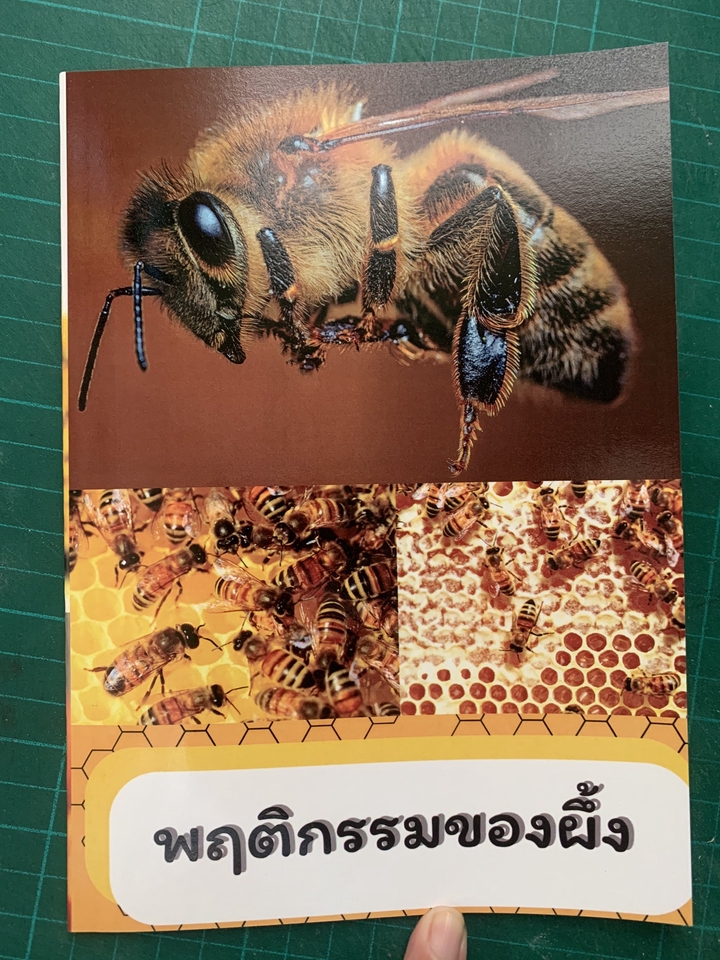 ปริ้นสีเลเซอร์