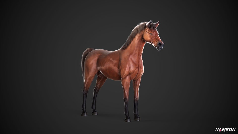 รับปั้นโมเดล3D ม้า แบบจำลองสามมิติคุณภาพสูง
