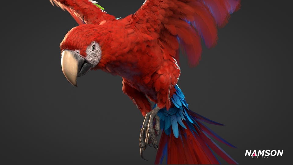 รับปั้นโมเดล3D นกมาคอว์ สีแดงสวยงาม