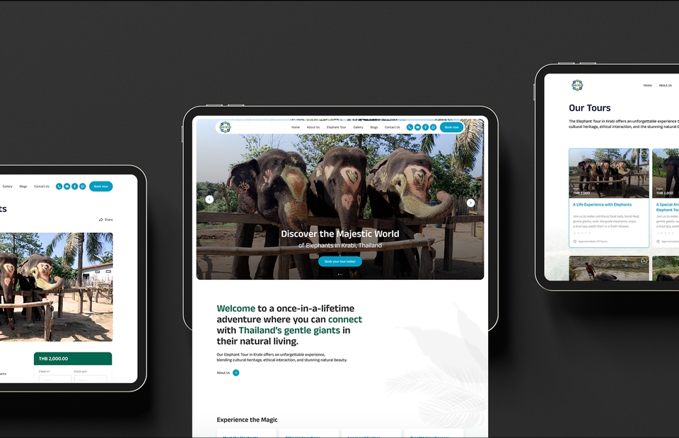 ออกแบบเว็บไซต์ company profile + booking tour