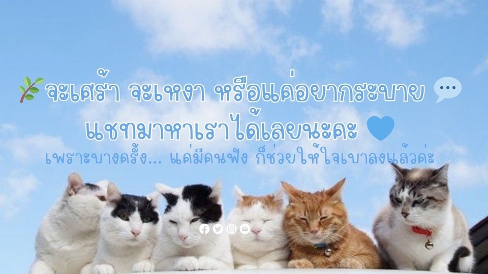 🌿จะเศร้า จะเหงา หรือแค่อยากระบาย 💬
แชทมาหาเราได้เลยนะคะ 💙