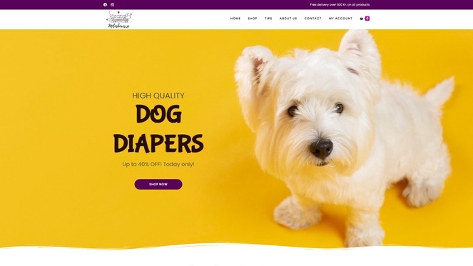 เชื่อมต่อโดเมน+โฮสติ้ง พร้อมตั้งค่าอีเมลธุรกิจตามโดเมน