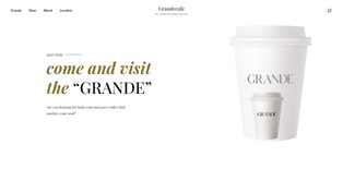 หน้าเว็บโปรโมชัน WordPress พร้อมแบนเนอร์และปุ่มเรียกใช้งาน