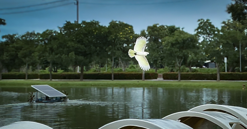 เกลี่ยสีวิดีโอ - การแต่งภาพ,เกรดสีแบบมีสไตล์ - 9