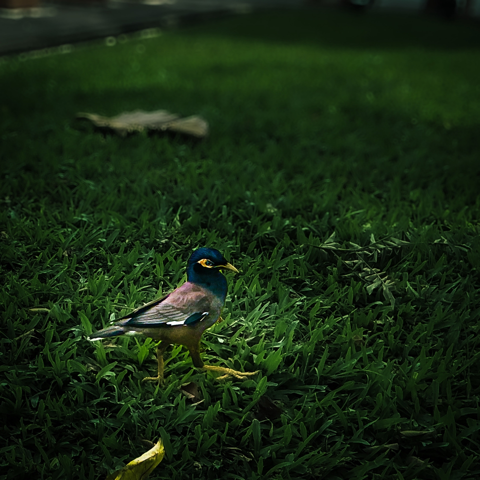 แต่งเน้นไปที่องค์ประกอบหลัก