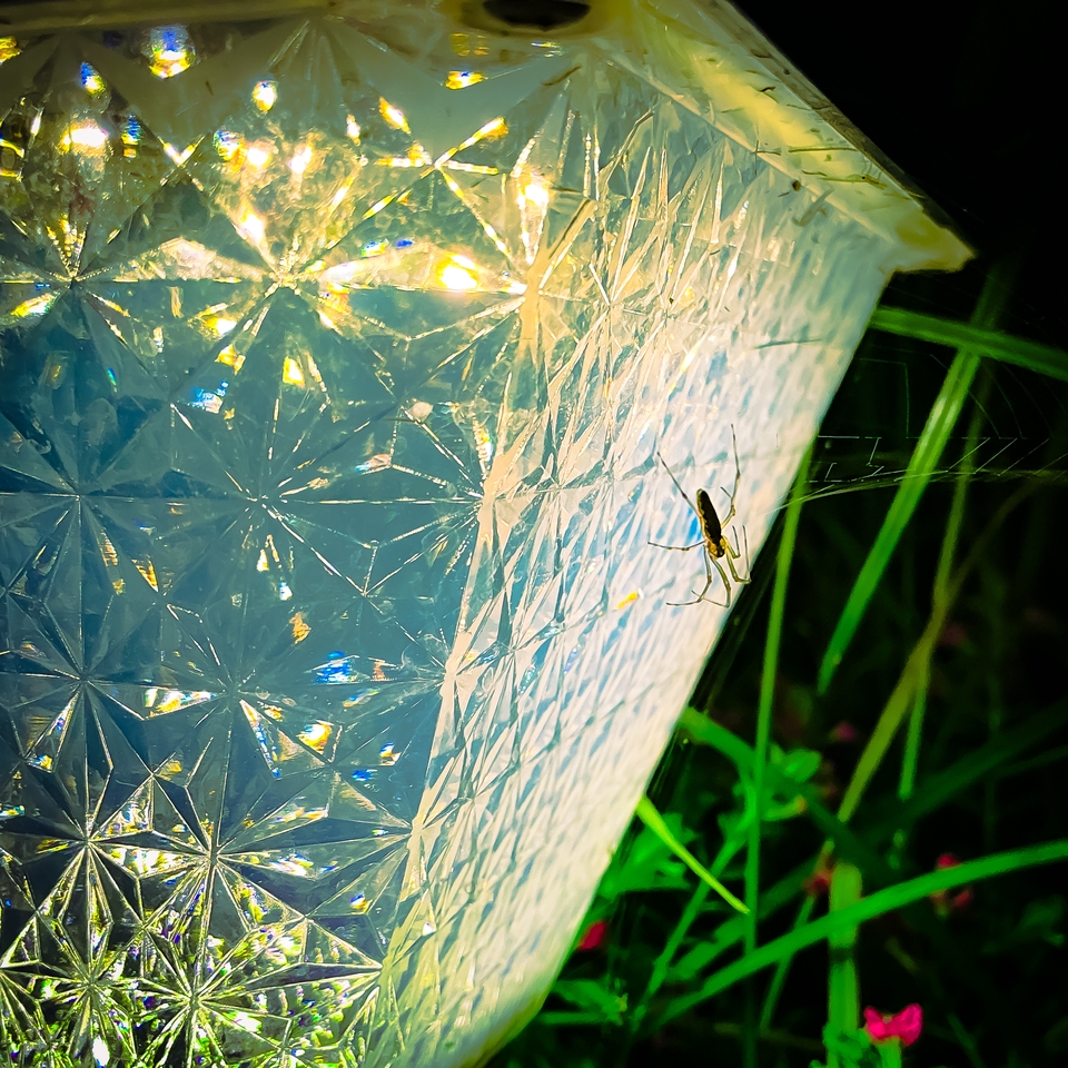 เกลี่ยสีวิดีโอ - การแต่งภาพ,เกรดสีแบบมีสไตล์ - 8