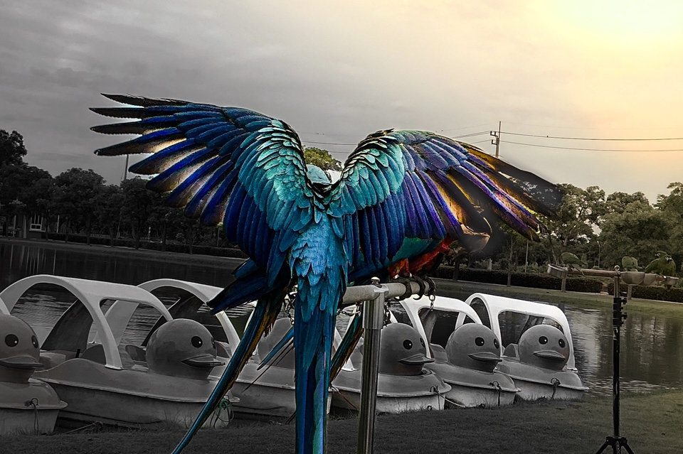 แต่งตามสไตล์